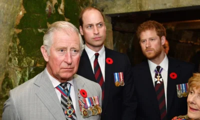 Former Royal Family Employee Says Everyone Can Relax Because King Charles ‘Did Not Snub’ Prince Harry by Giving Prince William a Promotion