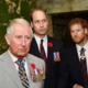 Former Royal Family Employee Says Everyone Can Relax Because King Charles ‘Did Not Snub’ Prince Harry by Giving Prince William a Promotion