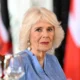 Queen Camilla suffers crushing popularity blow as poll analysis exposes alarming trends for royals