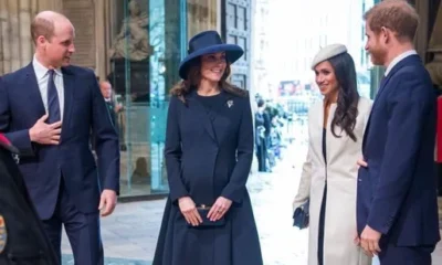 Breaking "Stop it. She need some Respect.Prince William 'infuriated' by 'tasteless' comparisons between Meghan Markle and Princess Diana